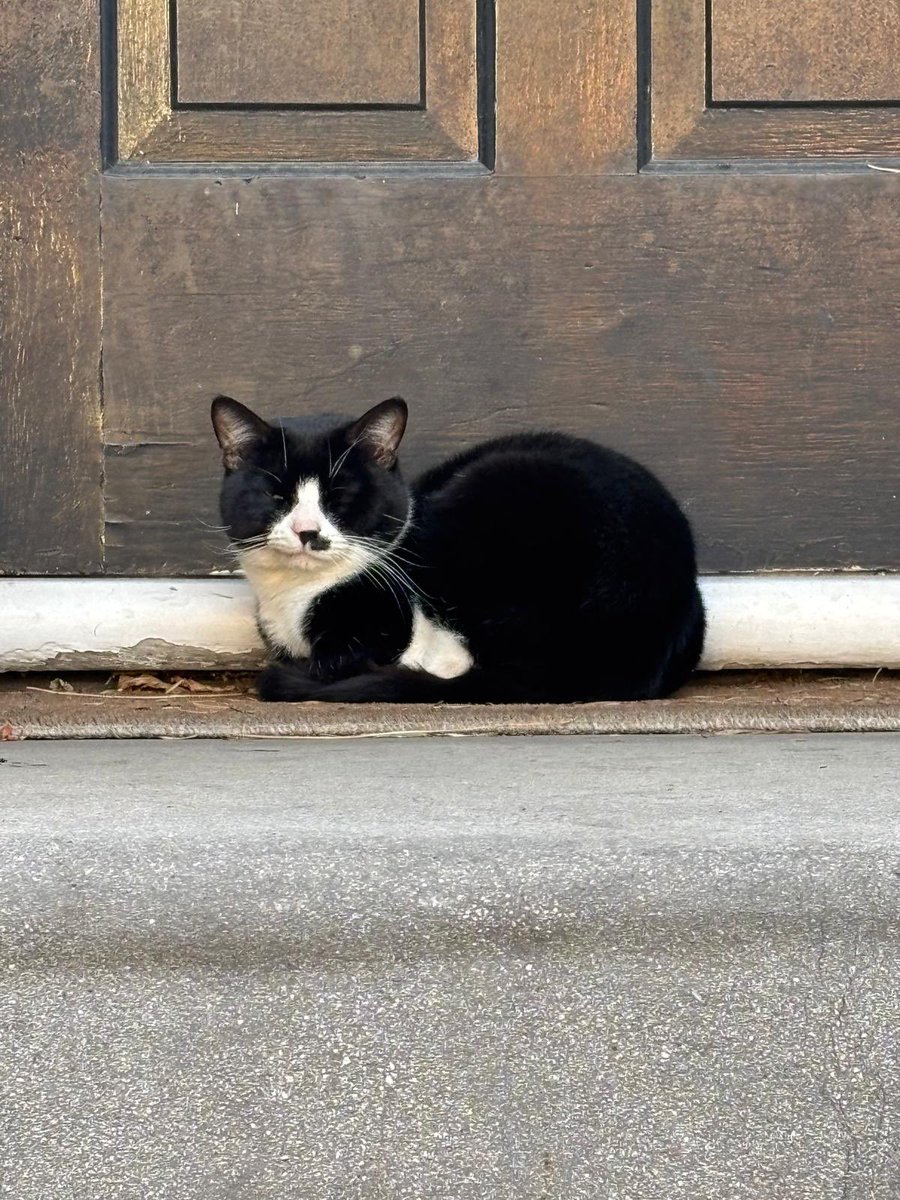 Adrian Gibson tweet media