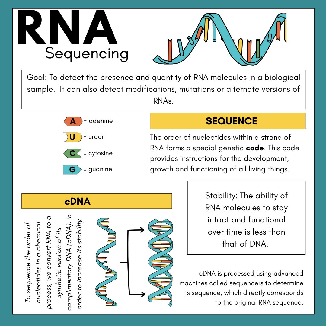 Jillian Wise tweet media