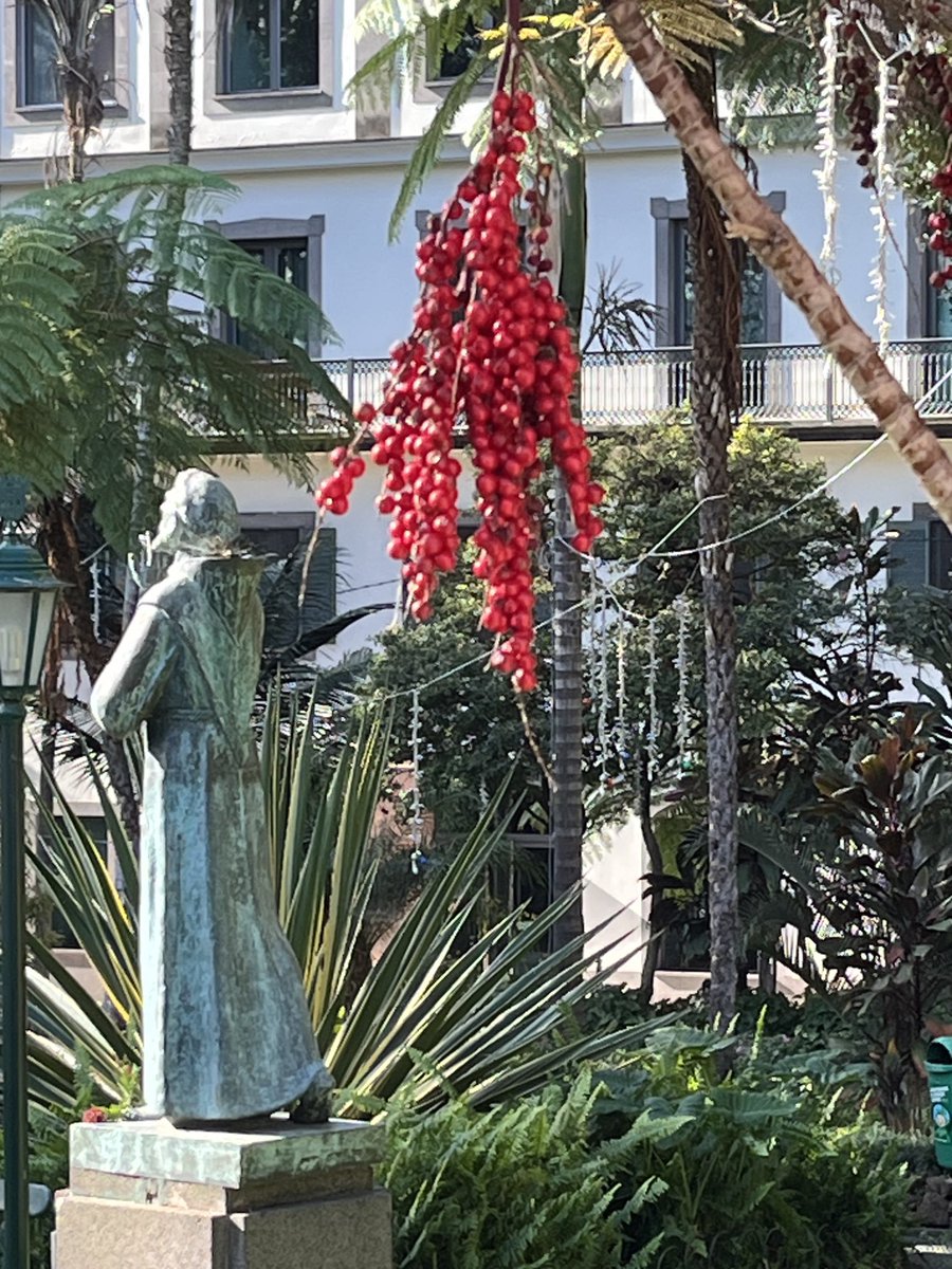 feierleiter's tweet photo. Adieu Funchal https://t.co/ACCX8SlJBz