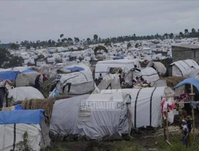 HodsasC's tweet photo. URGENT: Health crisis in Goma/DRCongo: 113 new cases of HIV AIDS detected among displaced persons since the start of the year @UnaidsDRC @_ARASAcomms @FJS @PNMLS1 @AfricaSexWork @GFAN_Africa  @redumbrellafund https://t.co/GqQPHez3XU