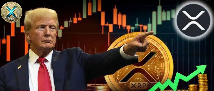 🚨RUMORS: The United States of America is considering #XRP as a reserve currency for the coming financial system!