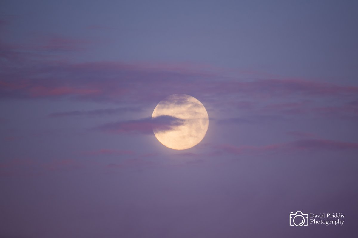 Moonset 14th Jan 2025
After stepping out of my front door to put some rubbish in the recycling. I saw this scene developing to my west. I rushed back inside to grab my camera and I managed to capture the moon setting through these picturesque clouds #morning #moonset #jerseyci
