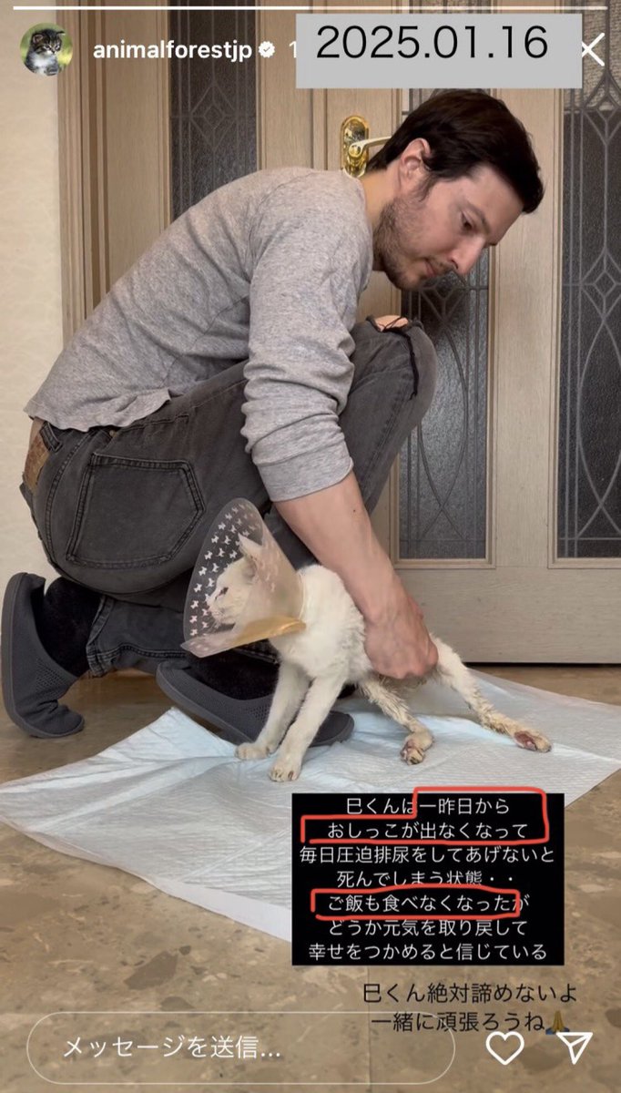 scarabmark's tweet photo. @sa_kagi_sa ホントに｡ﾟ(ﾟ´ω`ﾟ)ﾟ｡
死ぬかもしれない状態の猫をお世話するのに、なぜ自分がメインなんですか？

まるで映画ターミネーターの登場シーンのよう・・

猫を利用した頑張ってるアピールは、もうやめて😭（入院させて下さい🙏）

#アニマルフォレスト https://t.co/V4E9uDXWil