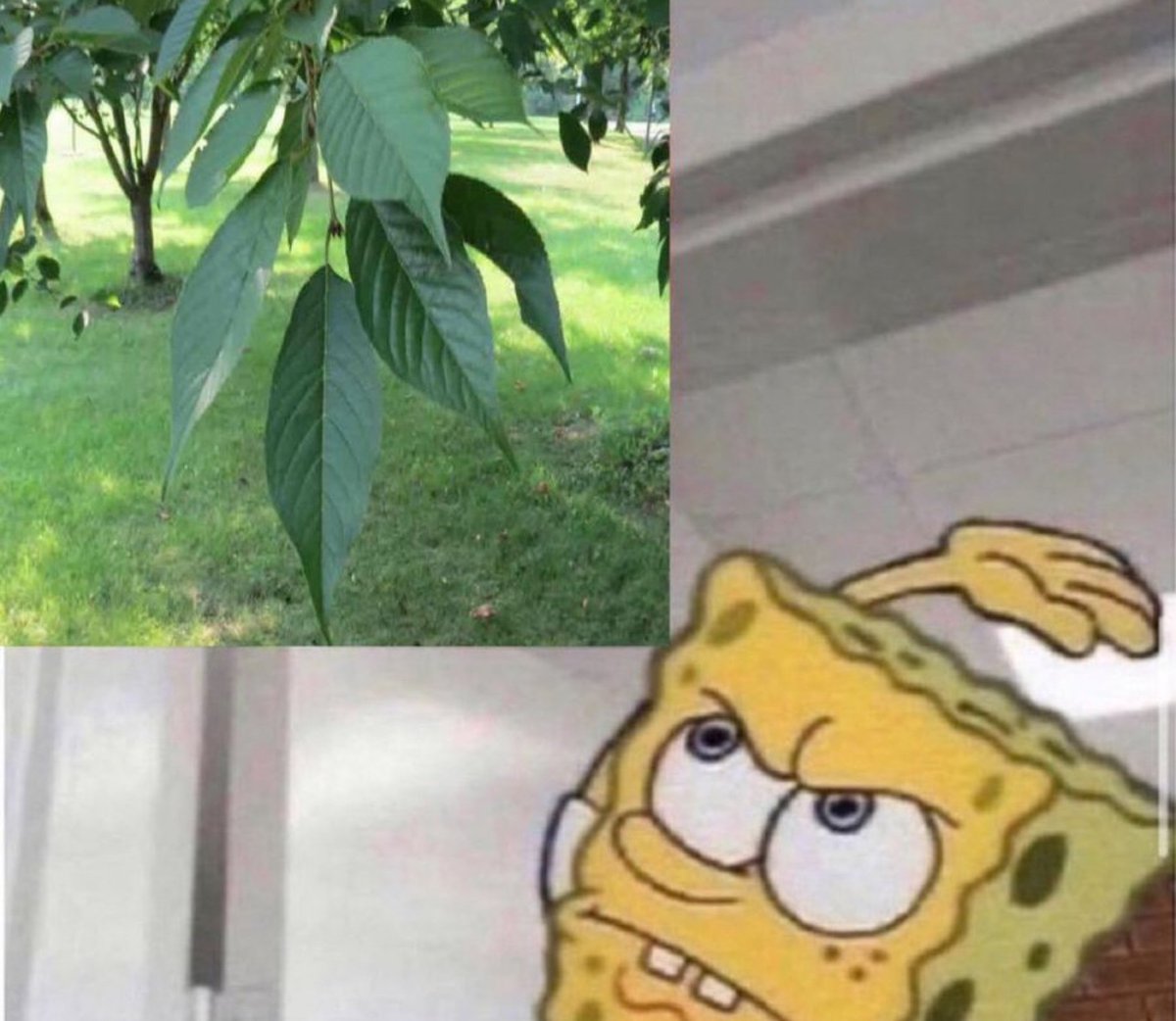 Out of Context Human Race tweet media