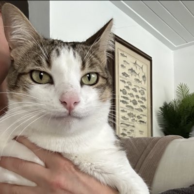 brittanymconrad's tweet photo. #NewProfilePic https://t.co/3FoP26U28j