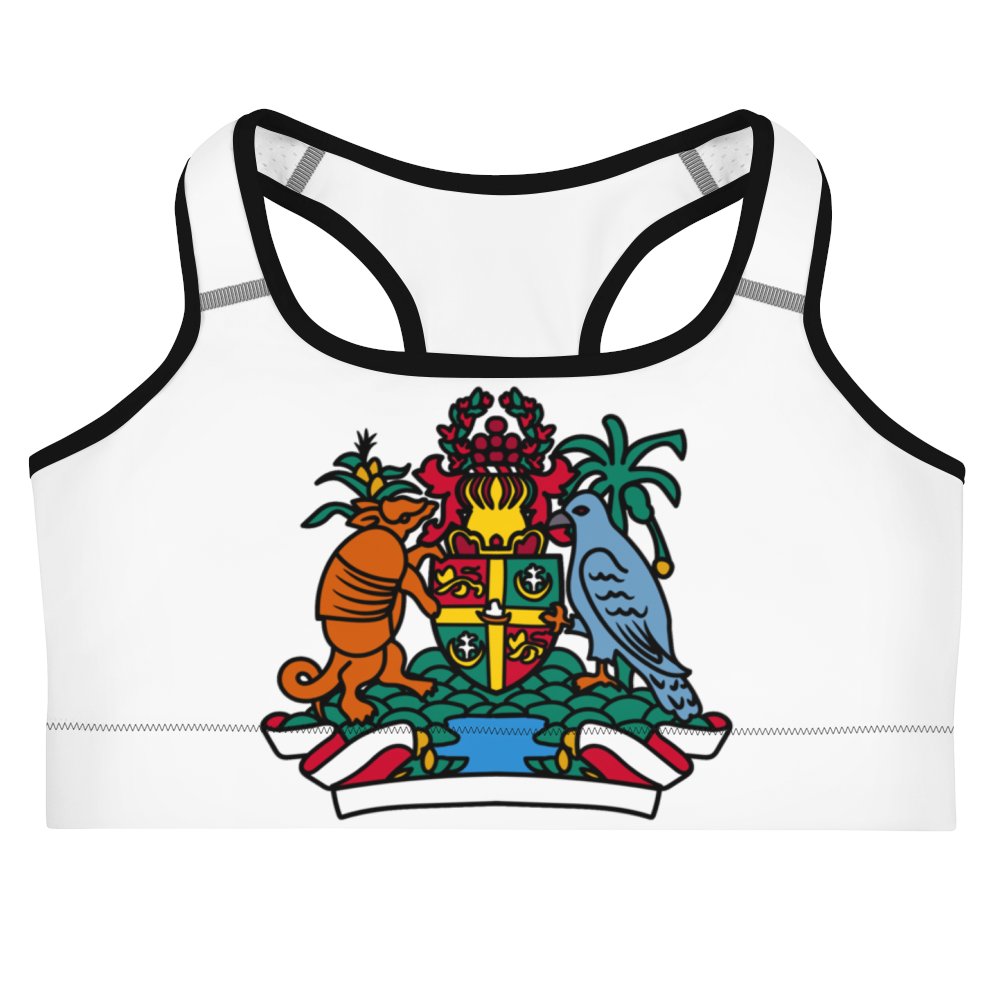 fitgyaltings's tweet photo. Get ready to flex in style, Grenada 🇬🇩! 👟✨ A sneak peek at our sports bras designed with YOU in mind. Comfort, culture, and confidence all in one. 🌴💪 Coming soon! 🖤

#FitGyalTings #GrenadaCollection #IslandInspired #ActivewearGoals https://t.co/e1ImFHVL4e