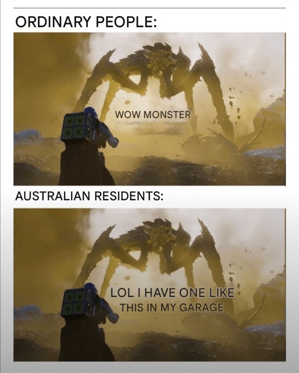 Australians are a different breed #Helldivers2
