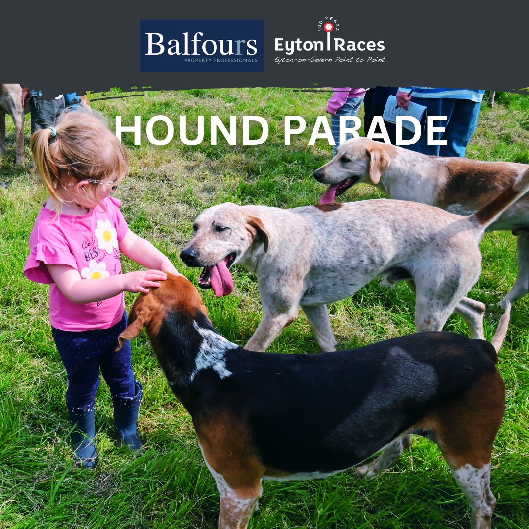 Eyton Races tweet media