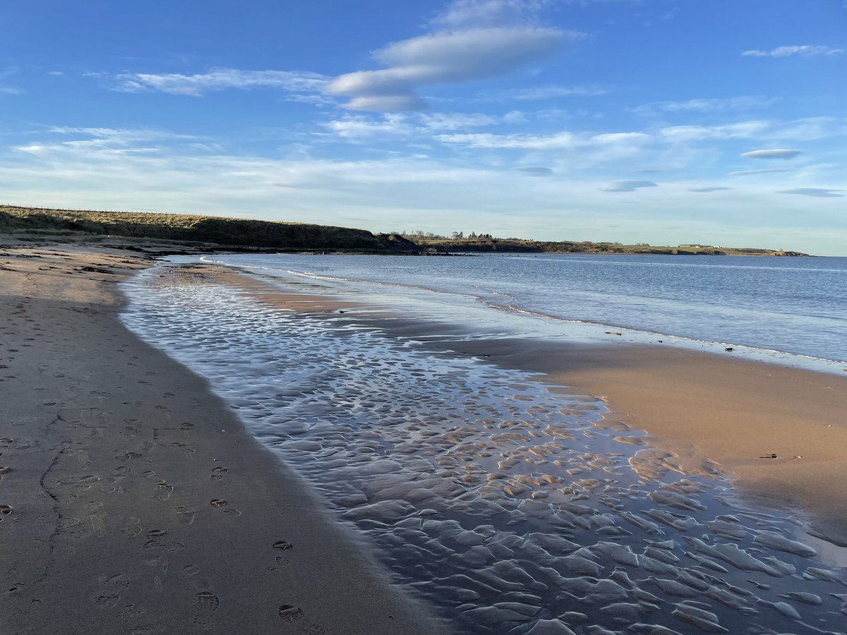 SueCurrie9's tweet photo. Beautiful afternoon in Northumberland https://t.co/MRLuJarhj8