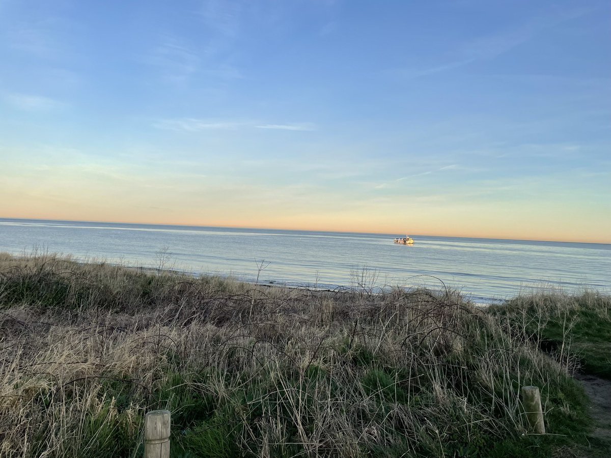 SueCurrie9's tweet photo. Beautiful afternoon in Northumberland https://t.co/MRLuJarhj8