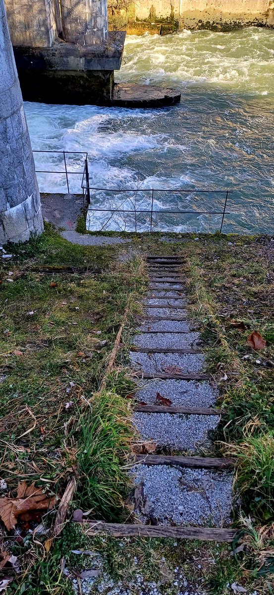 Umirjanje pacienta do stanja izgube zavesti, dušenje z blazino, zamolčan samomor, …
 
"Nekaj noči nisem spal, ko sem bral poročilo o sistemskem nadzoru. Mora me je tlačila ponoči." - Franci Gerbec

Počitnice v Polju, 3. del 👇
🎙
val202.rtvslo.si/podkast/vroci-…