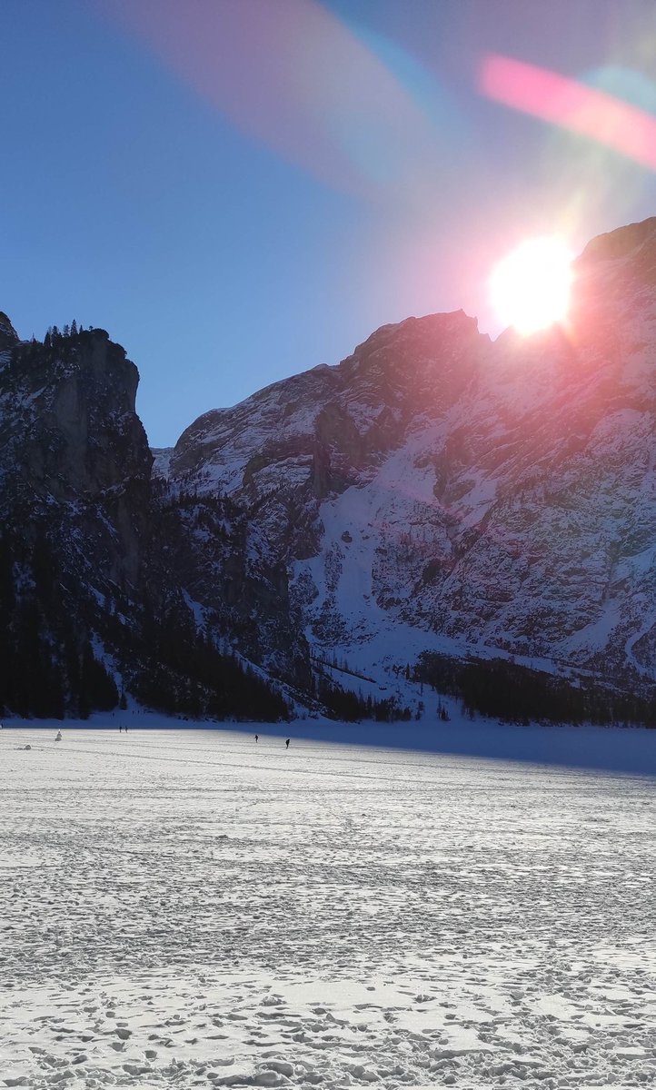 barbara cecioni 🕊️ tweet media