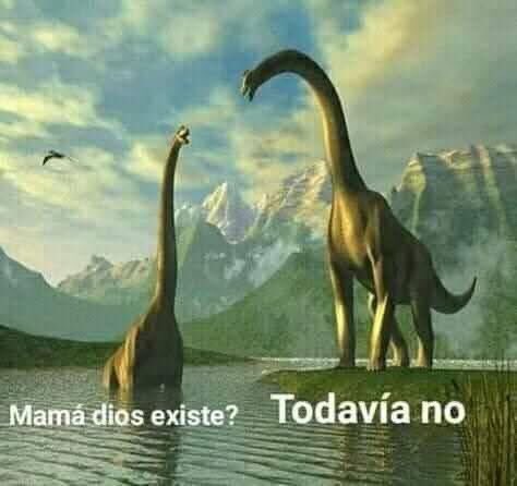 Estado Vaticano tweet media