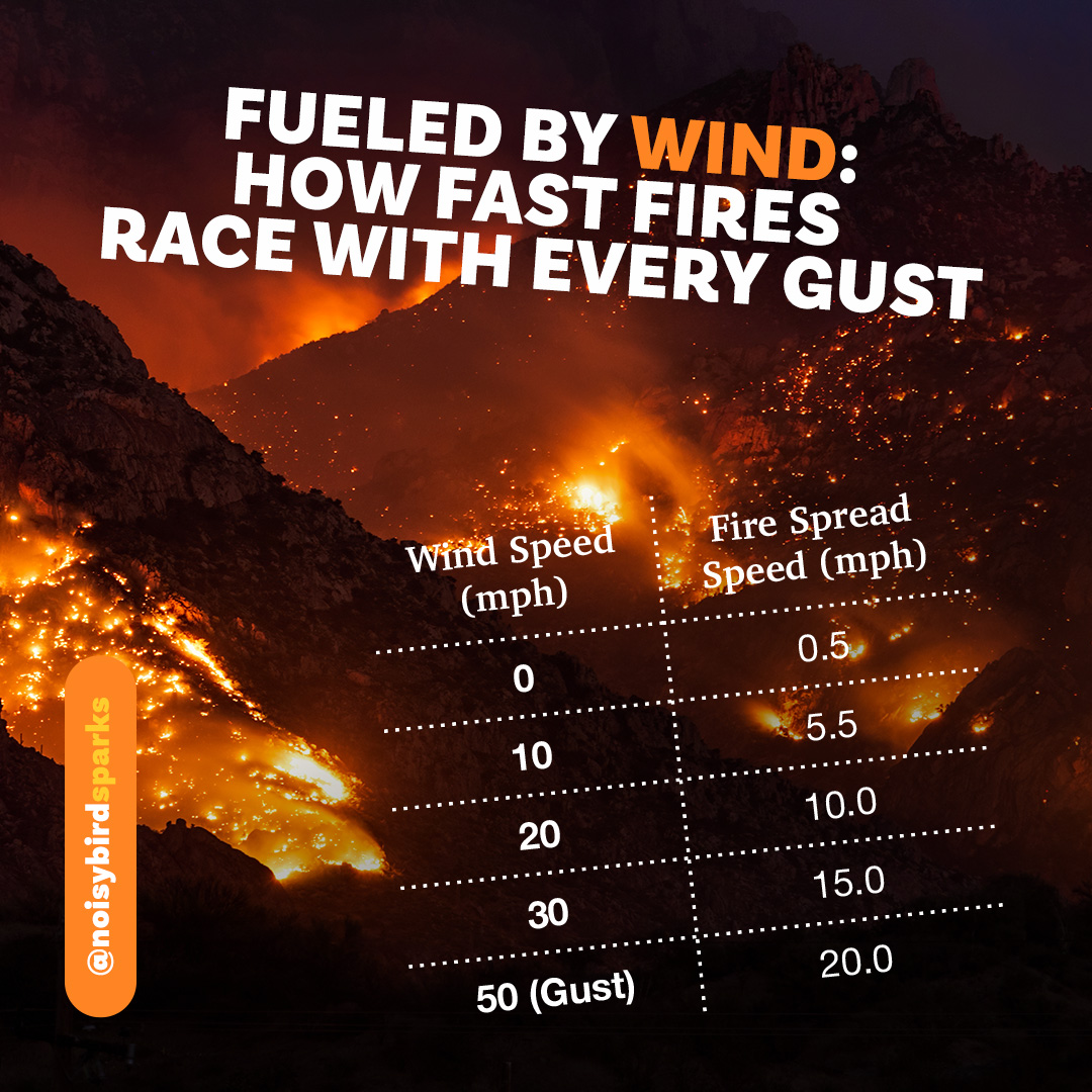 psychequest's tweet photo. Strong winds fuel wildfires—at 30 mph, fires can spread up to 15 mph, making them nearly impossible to fight as flames leap ahead and spot fires ignite. Firefighters risk everything battling these infernos. #PalisadesFire #EatonFire #LAFires #WildfireAwareness #CAfire https://t.co/qDWz5EnijP