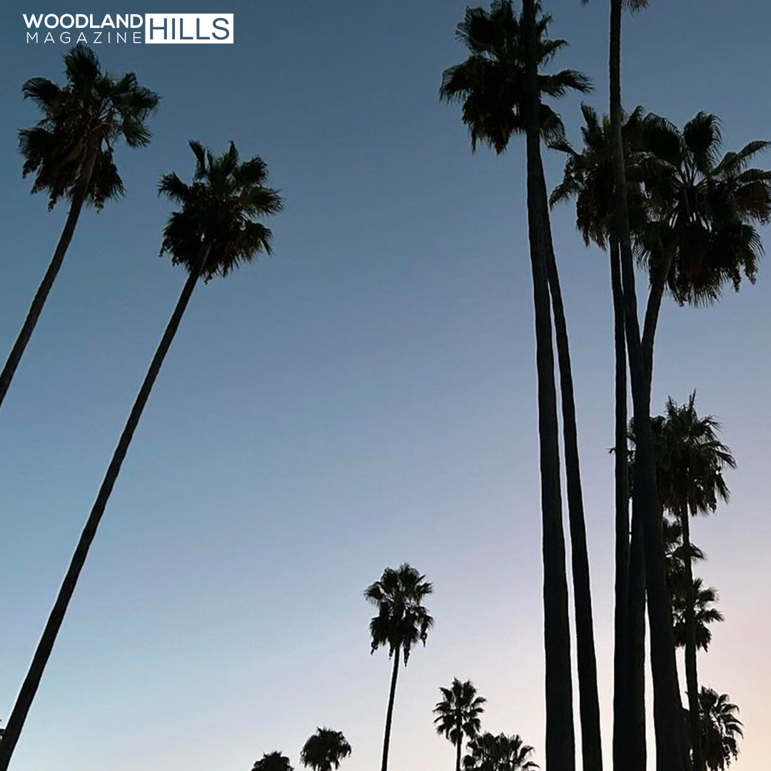 WH Magazine tweet media