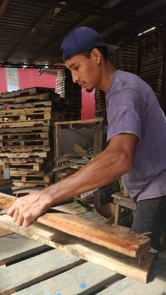 compra_a's tweet image. Reparamos, Reciclamos Y Reconstruimos Tus Pallets, Estibas O Tarimas. 
Llámanos Al 📱6686-6462
WhatsApp Al 📲 6633-8630
#Compra #Venta #Pallets #Tarimas #Reciclaje #Estibas #Panamá #PalletsDesign
🇵🇦🇵🇦🇵🇦