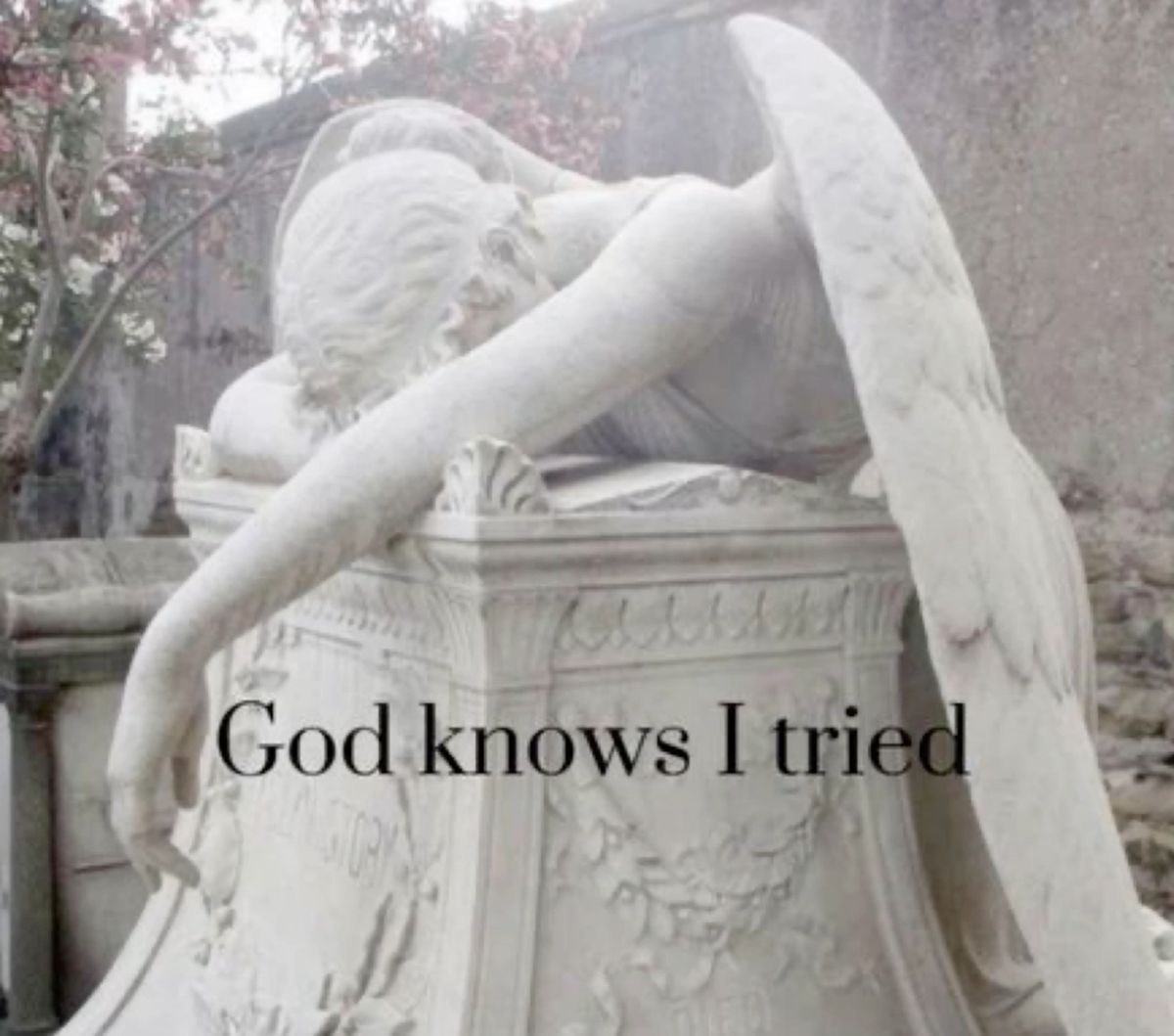 PsTomodel54516's tweet image. Someone please tell me how to stop staying at the same weight I go to the gym and do cardio everyday and fast but most importantly I stick to 700 cal a day I’m gonna tweak

#edtwt #edhelp