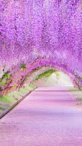FascinatingWow5's tweet photo. Wow 
#Flowers https://t.co/phH4F0Jv3N