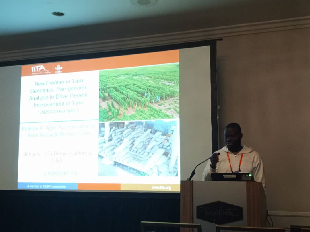 CGIARbreeding's tweet photo. ๐At #PAG32, @CGIAR crop breeders showcased innovations advancing breeding efficiency!
Agre Paterne @IITA_CGIAR highlighted:
๐งฌ Pan-genome insights into white Guinea & water yam
๐ YamBase: a platform for yam breeding data
More: https://t.co/KMiwn3C48I
#AcceleratedBreeding https://t.co/oehXFtEmP8