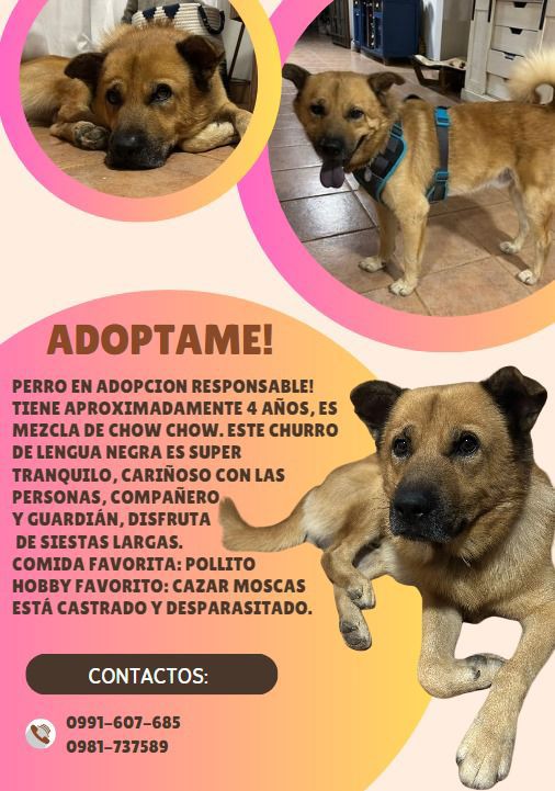 Pao Robledo tweet media