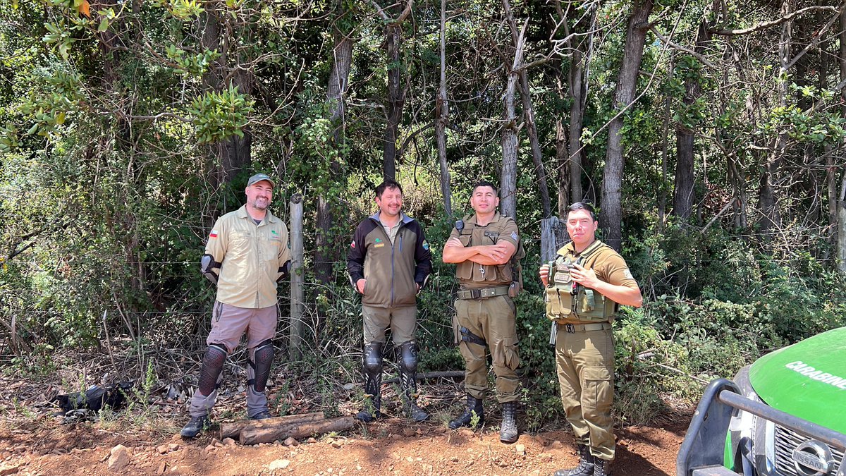 CONAFBiobio's tweet photo. 🟢#PATRULLAJES | A fin de prevenir la corta de árboles nativos en el Parque Nacional Nonguén y detectar también focos de #incendiosforestales, #CONAF y el #OS5 de Carabineros realizaron un nuevo patrullaje preventivo. Esta vez, en el límite sur de esta área silvestre protegida. https://t.co/7aanSdVVDu