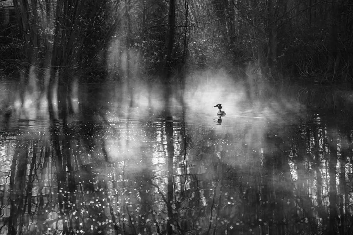 Steve Palmer tweet media