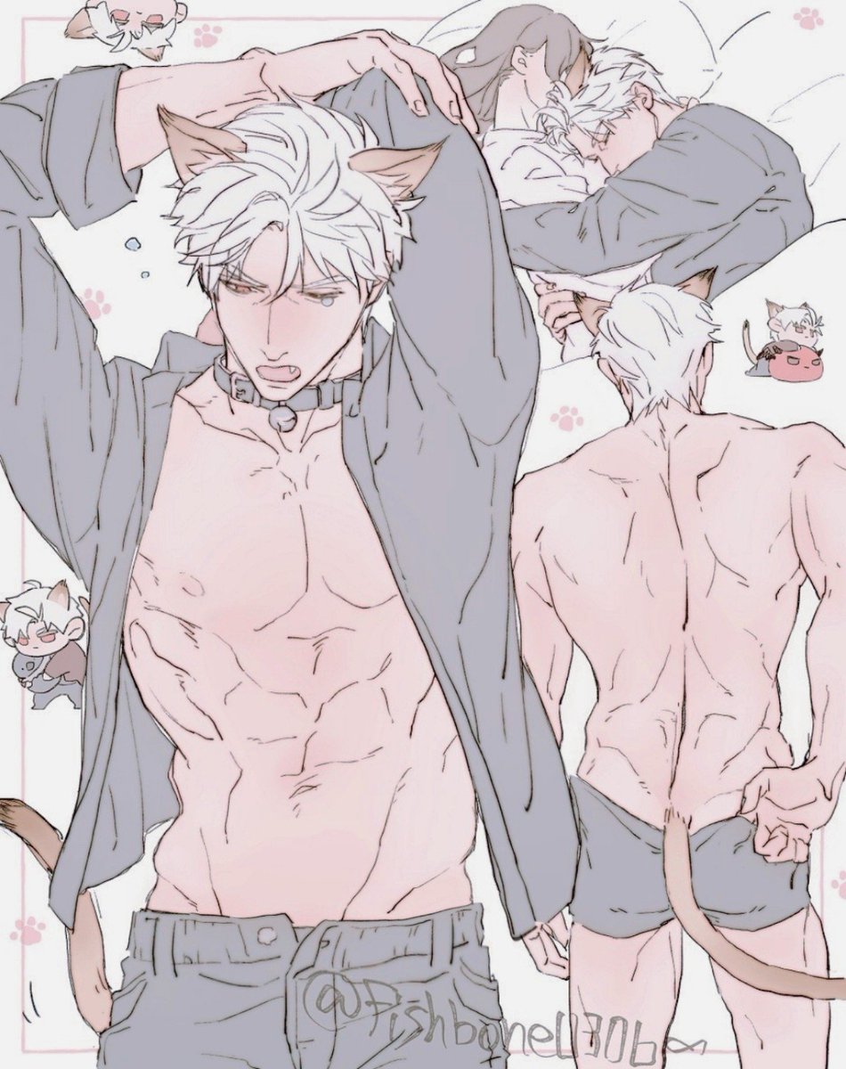 まだ猫に狂ってる🐦‍⬛🐱