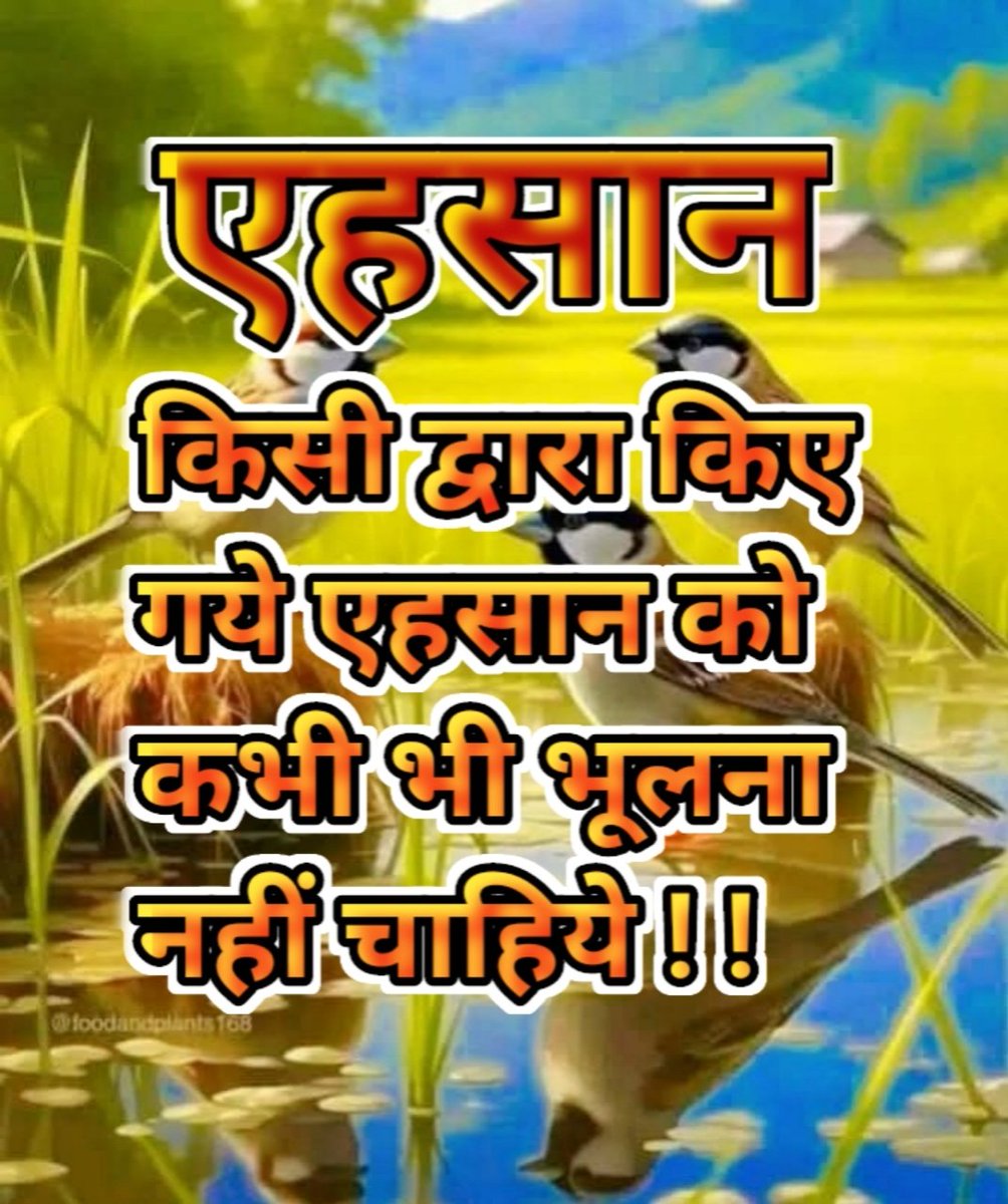 Yoga_Meditation_Life_Awadhesh योग_मेडीटेशन_जीवन (@lifeawadhesh) on Twitter photo 