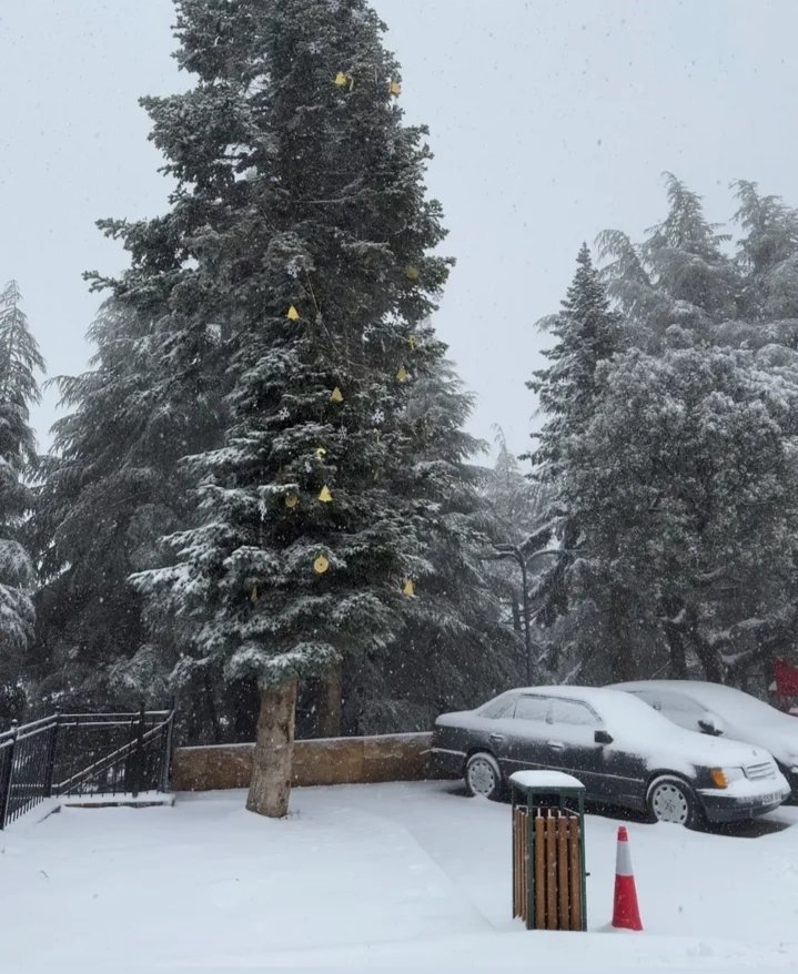 Tala Guilef , Tizi Ouzou , Algeria 📍🇩🇿🌨
#Algeria 
#Welcome_to_Algeria