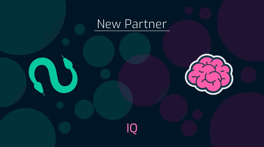 Finding business synergies with IQ opens up extensive opportunities for Sallar to reach clients in need of affordable computational power. Sallar has partnered with @IQWIKI – a project managing a leading cryptocurrency and blockchain encyclopedia, as well as developing AI-based