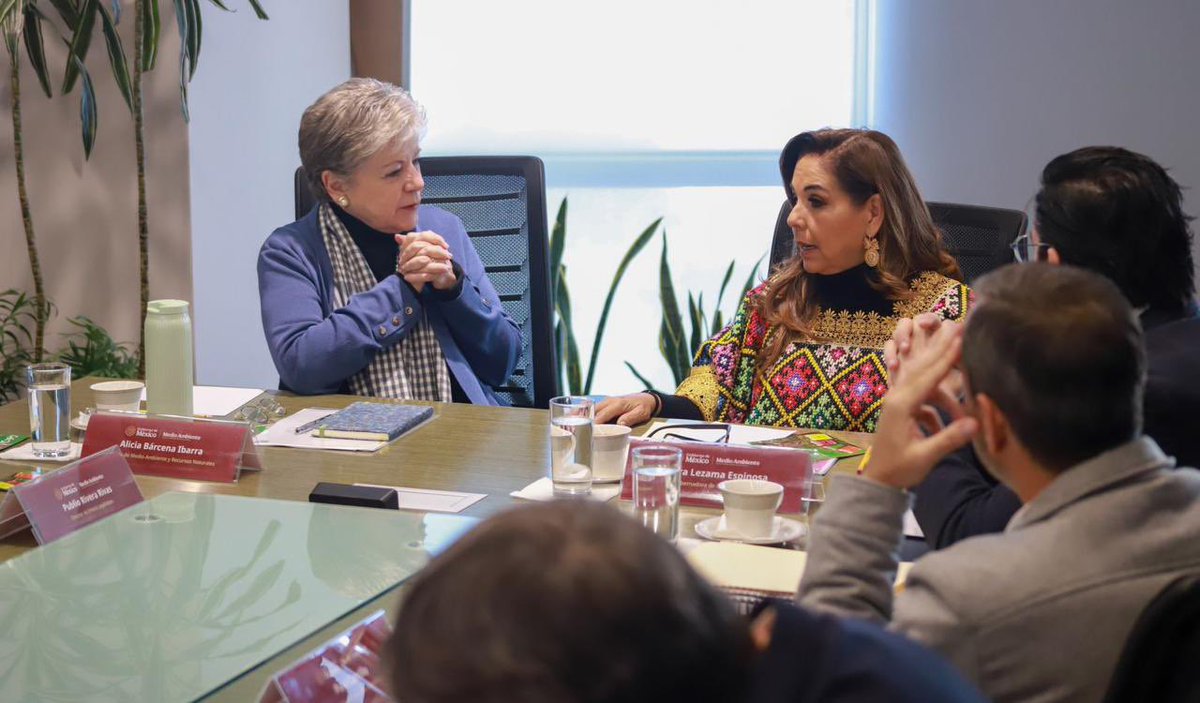SEMARNAT México tweet media