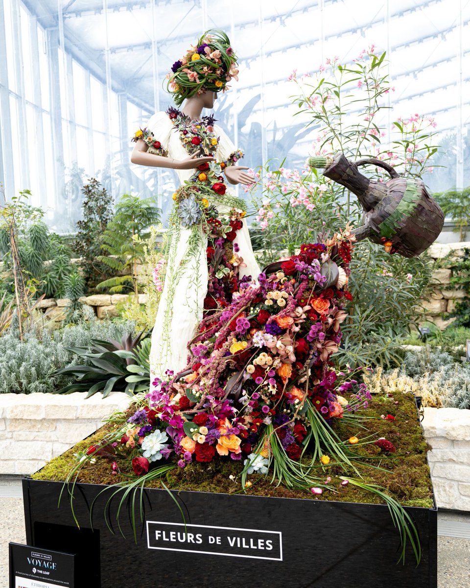 TourismWPG's tweet photo. Fleurs de Villes ARTISTE features 15 fresh floral mannequins designed by local florists in collab with MB arts and cultural orgs.

Find them blooming in the Mediterranean Biome at The Leaf Jan 16-26!

https://t.co/6UyvMURycw

📸 The Leaf from 2023 Fleurs de Villes

#OnlyInThePeg https://t.co/oC3iep1L10