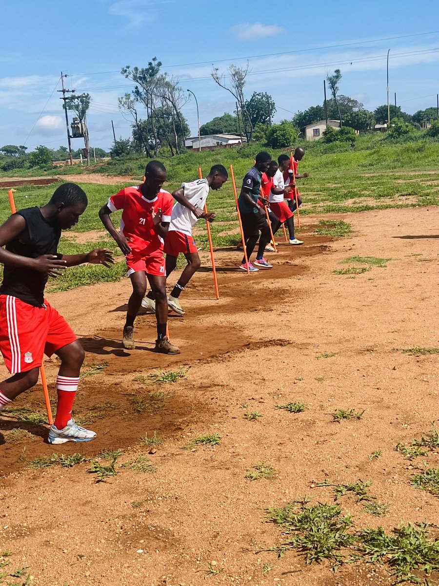Zebra Revolution Fc tweet media