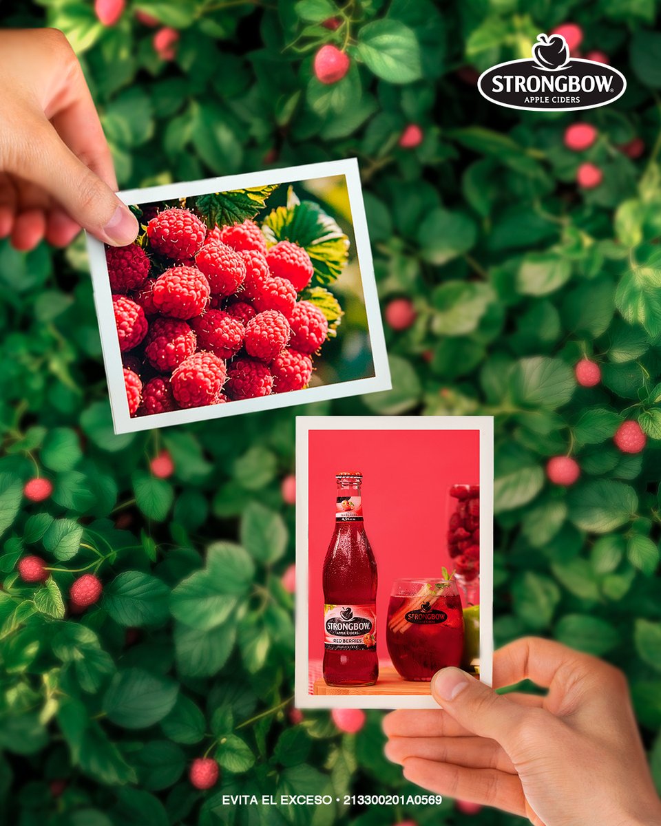 StrongbowMx's tweet photo. Con una Strongbow, las burbujas y la frescura siempre están presentes 🫧🎀 https://t.co/S6f0OrVuyG