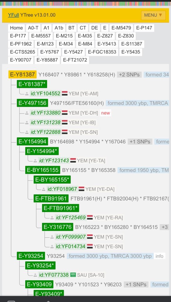 E-M84(P) tweet media
