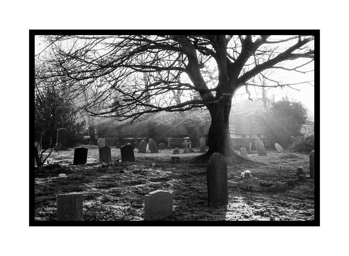 #believeinfilm
