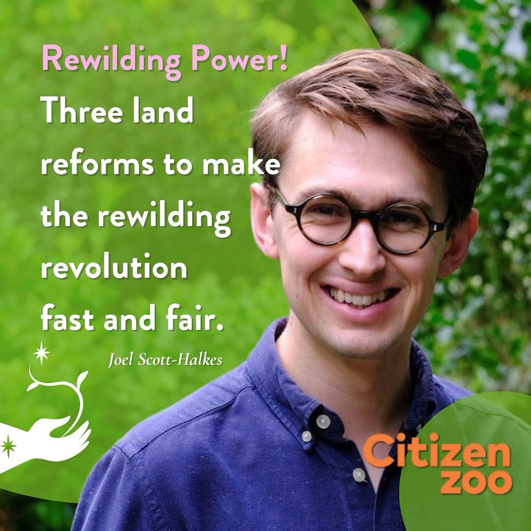 Wild Card tweet media