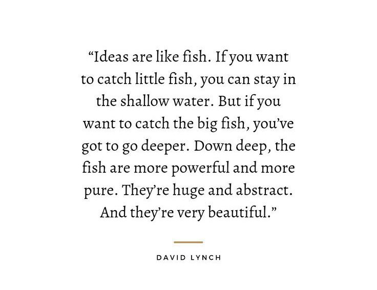 David Lynch 🖤