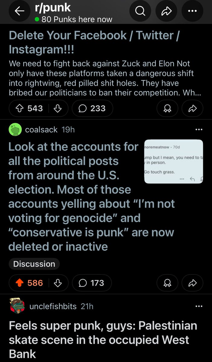 hackz's tweet image. Reddit r/punk loves their social media bubble.  Nothing is more punk than censorship right ?
