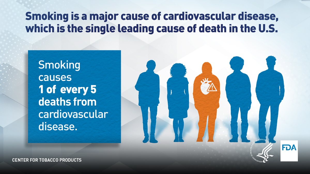 Smoking is a major cause of cardiovascular disease, which is the single leading cause of death in the U.S. Smoking causes one of every five deaths from cardiovascular disease. Learn more about the health effects of tobacco use: fda.gov/tobacco-produc…