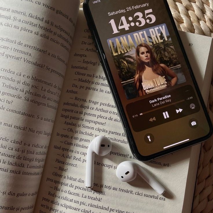 ˖˙ ʚ ͜ ︵  livros lidos em 2025
                  — a thread.