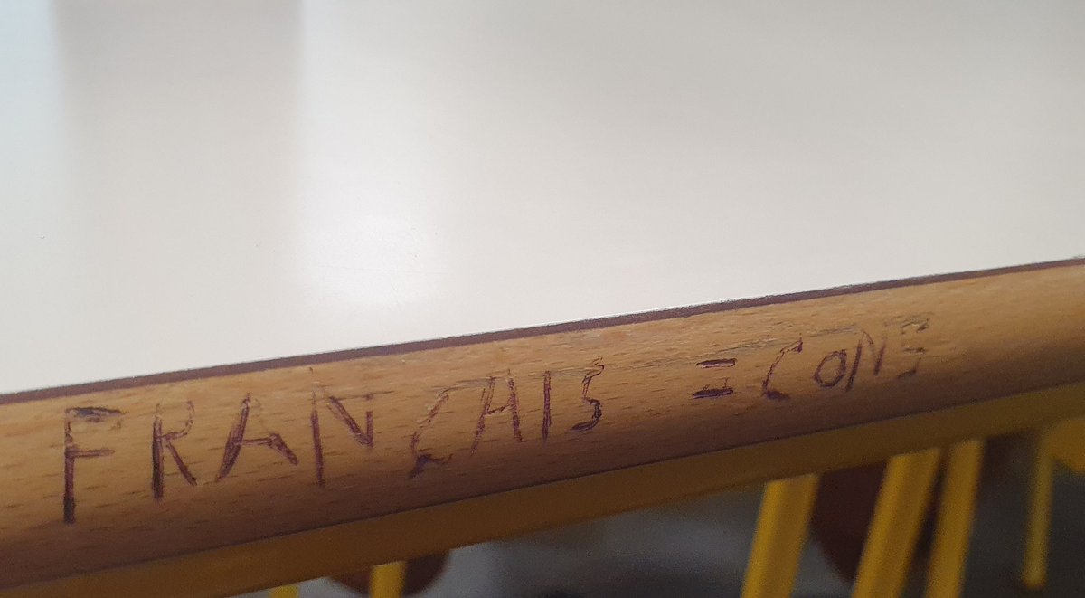 Re la team, la vie est belle on est en 2025 et les français sont cons (aparemment)