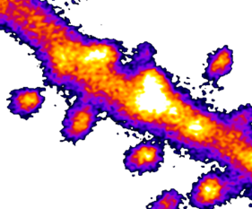 Miquel Bosch tweet media