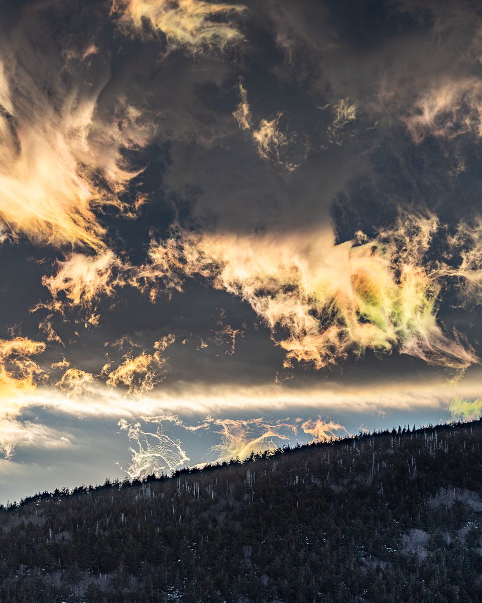 Asheville Pictures tweet media