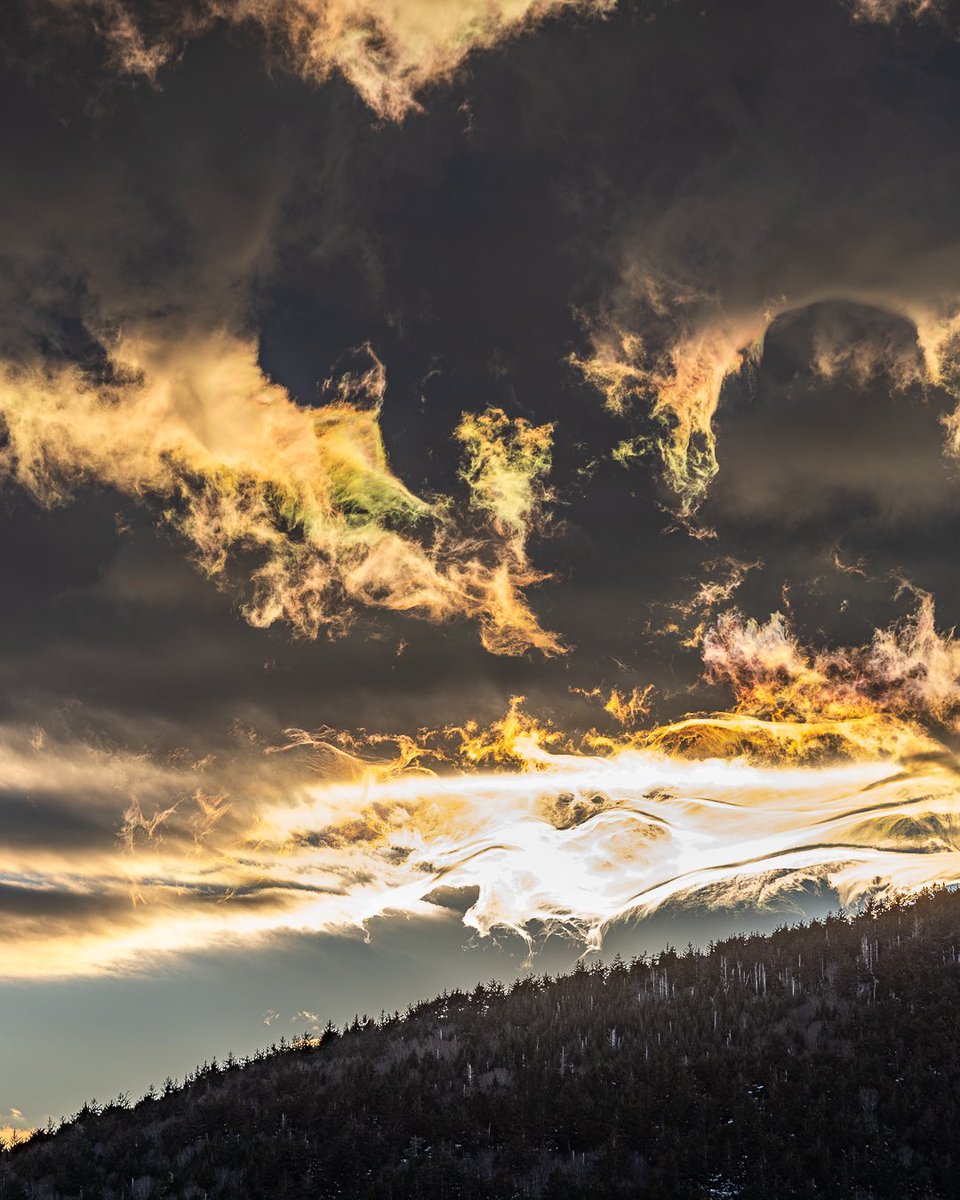 Asheville Pictures tweet media