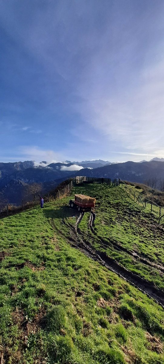 Dias productivos en la mejor oficina.

Salud y montañas ⛰️ ❤️