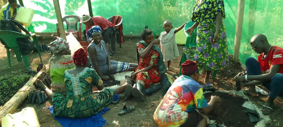 Today during training of tree nursery, group members of Bukiika Kigabi-community in <a href="/bunyangabu/">Bunyangabu District</a> were taken through good management practices of raising healthy and strong tree seedlings for restoration activities. <a href="/NLinUganda/">Embassy of the Netherlands in Uganda</a> <a href="/WURenvironment/">WUR Environmental</a> <a href="/ISSDUganda/">ISSD Uganda</a> <a href="/Aidug2007/">Albertine Interventions for Development (AID)</a>