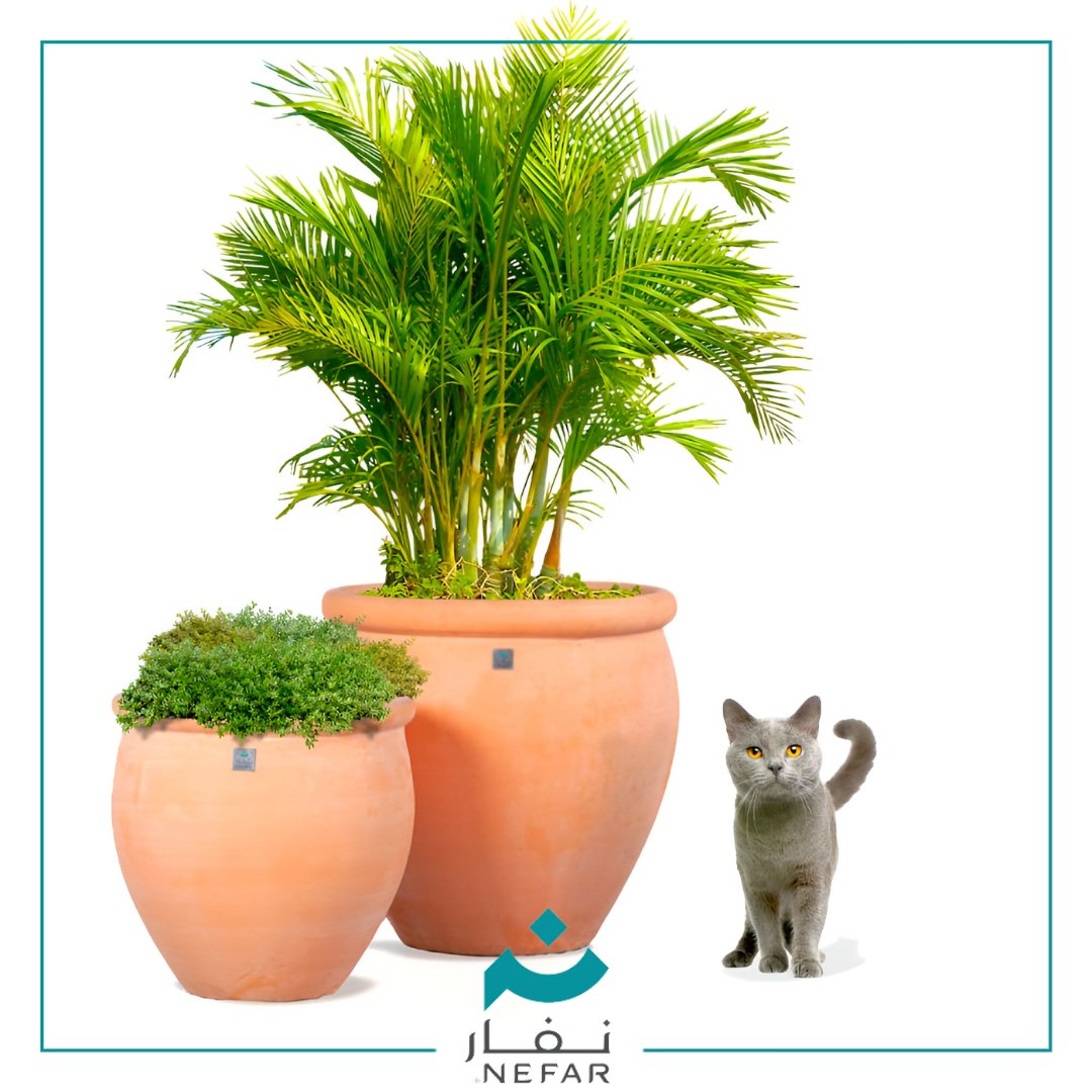 nefar_sa's tweet photo. اقتني مراكن #نفار الشتوية بألوانها الطبيعية وتصميمها الراقي  🫧🌿

اطلبها الآن وسنصلك في أي مكان #السعودية https://t.co/nNgMpp62dW