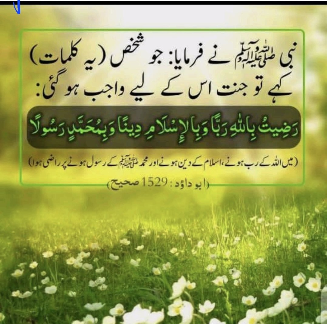 GhulamM90's tweet photo. Good evening 
نبی کریمﷺ نے فرمایا ۔
 جو شخص  ہی کلمات کہے گا  تو جنت اس کے لیے واجب ہو گئ۔ https://t.co/DanWTWdZv5