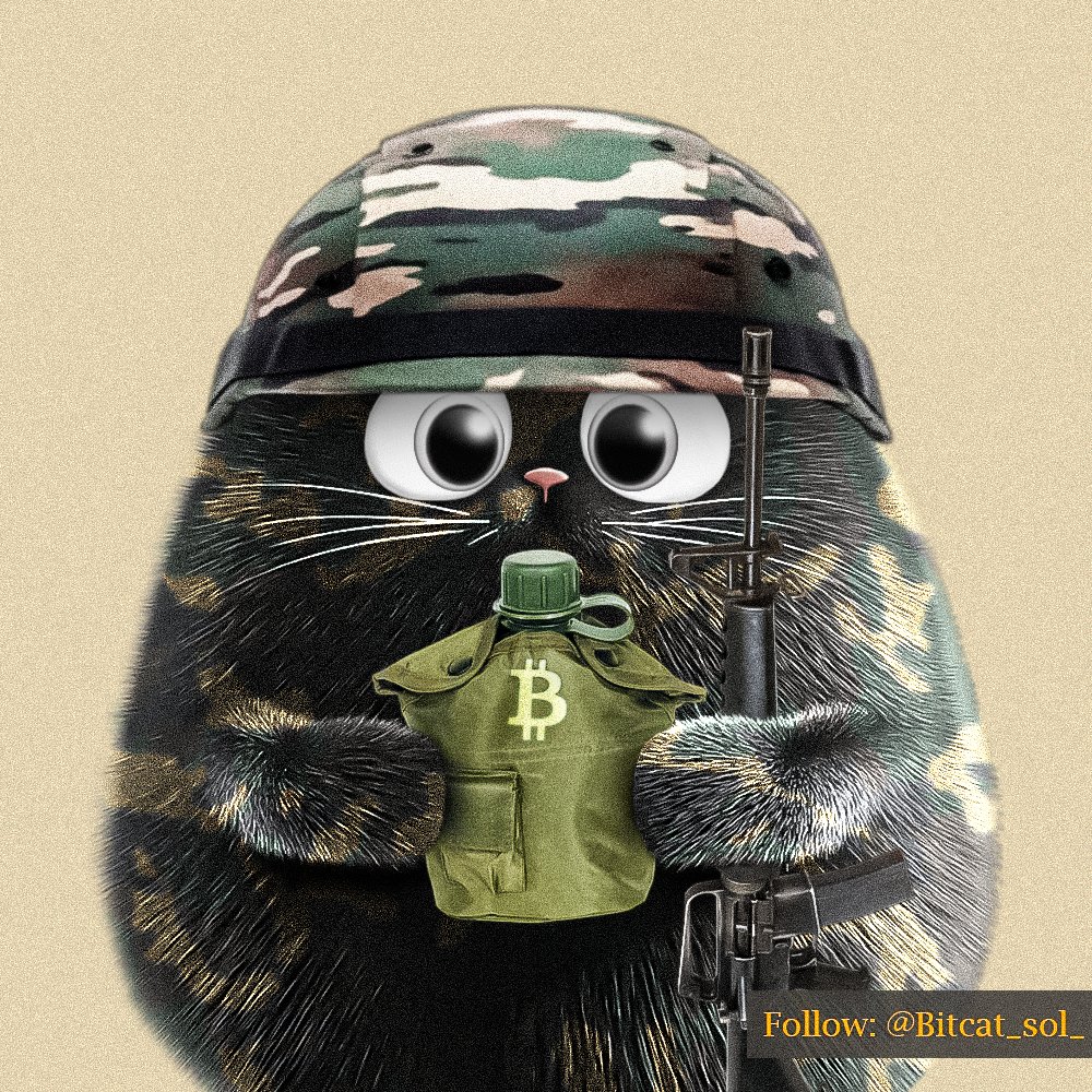 BITCAT - Bitcoin's Mascot tweet media